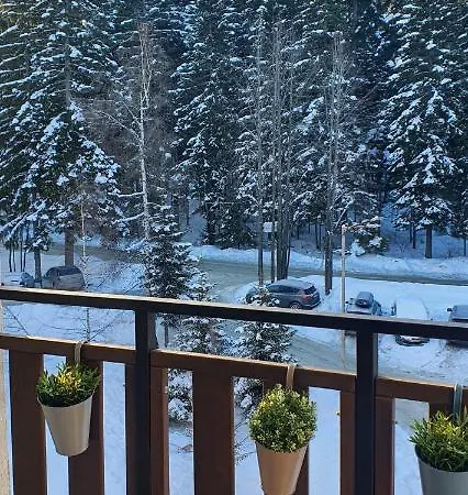 Cozy Mountain * Borovets