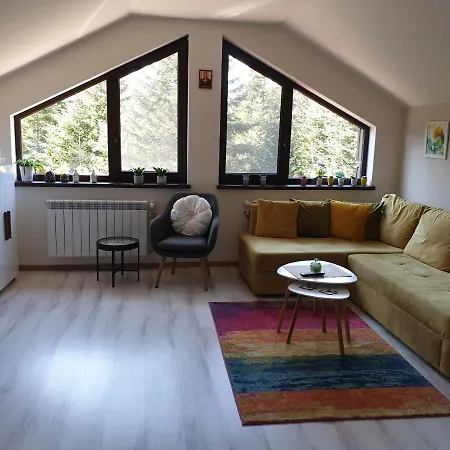 Cozy Mountain Apartment Borovets