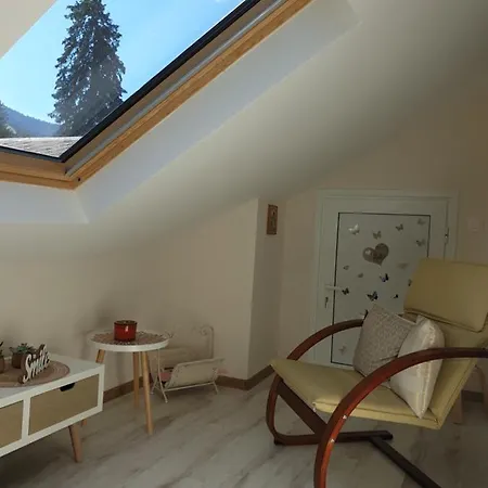 Cozy Mountain Apartment