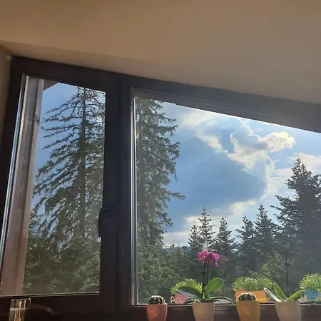 Apartament Cozy Mountain Boroveț