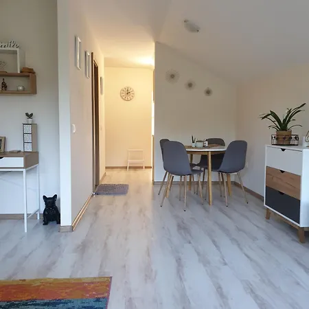 Apartament Cozy Mountain Boroveț